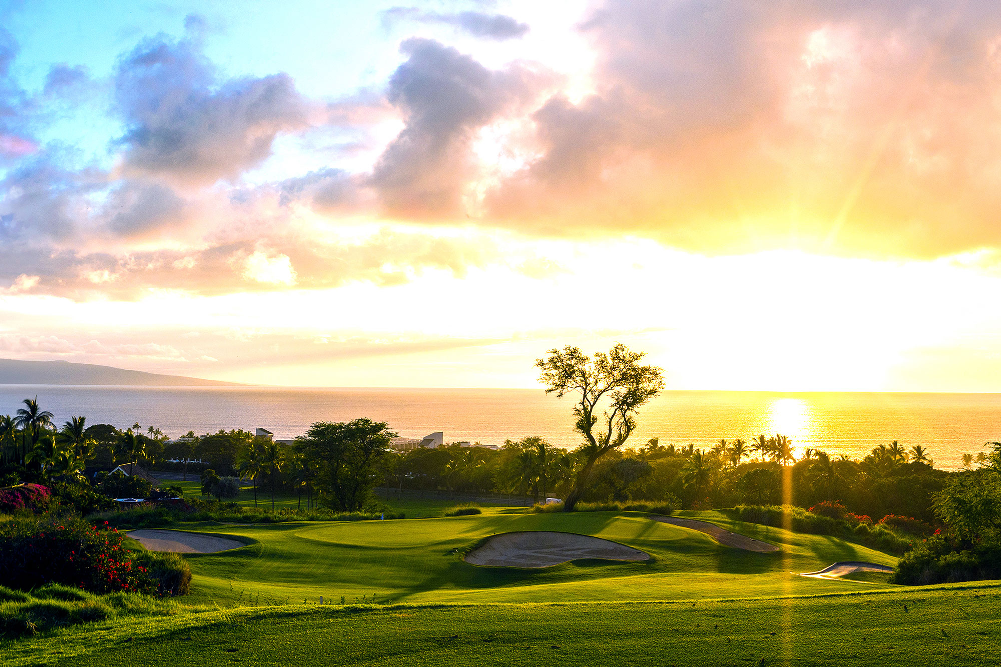 Wailea Emerald